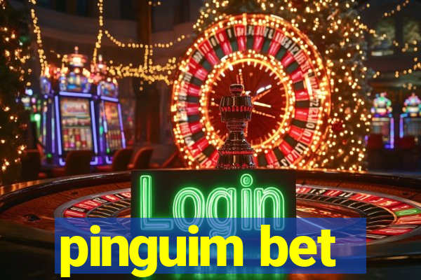 pinguim bet